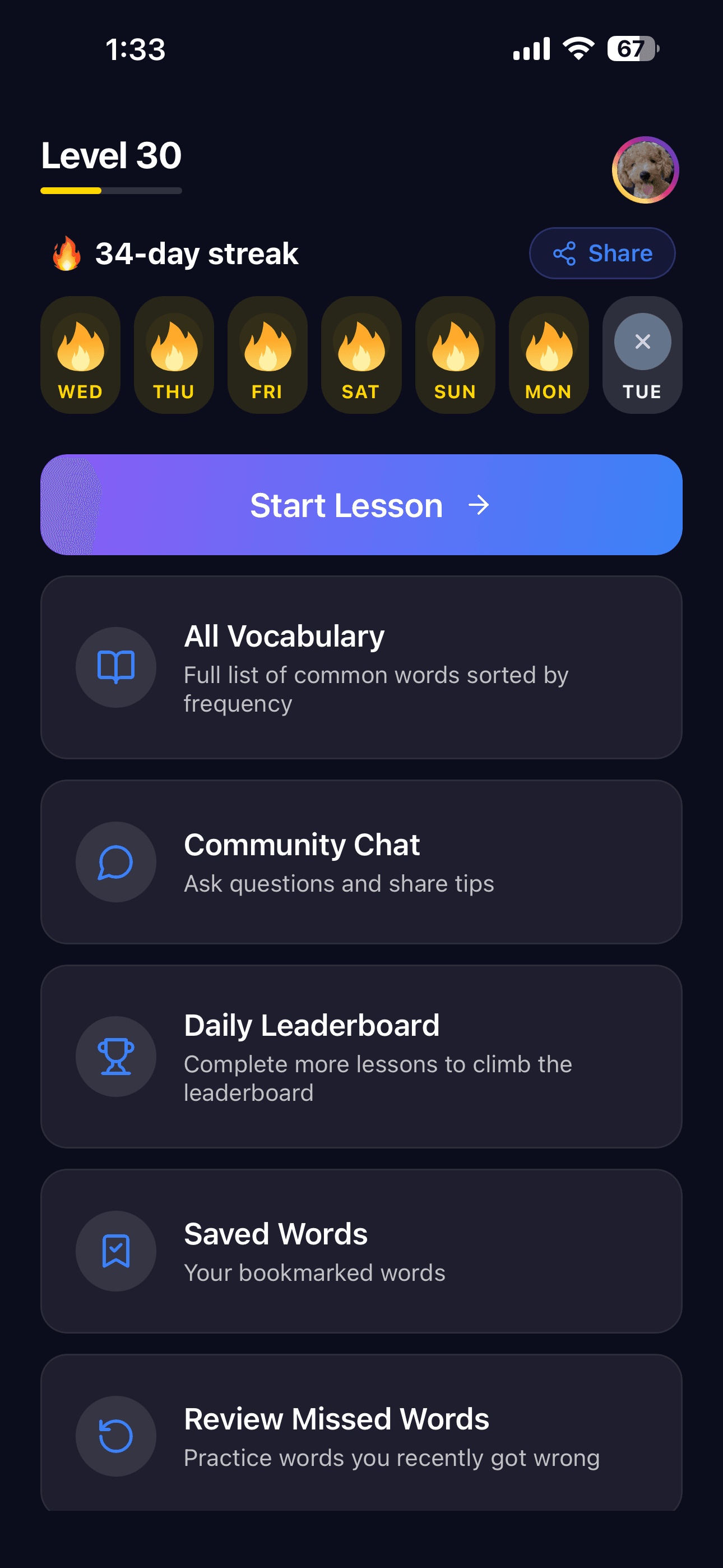 Podglot home screen with daily lesson, streak, and vocabulary